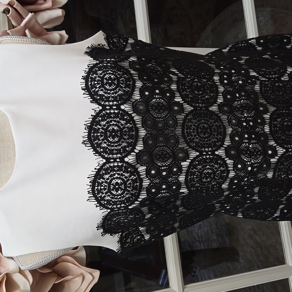 Anne Klein Elegant Off White Black Lace Dress Sleeveless Fully Lined Size 10 EUC - Picture 2 of 8